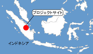 泥炭管理CO2排出抑制sumou スポーツベット