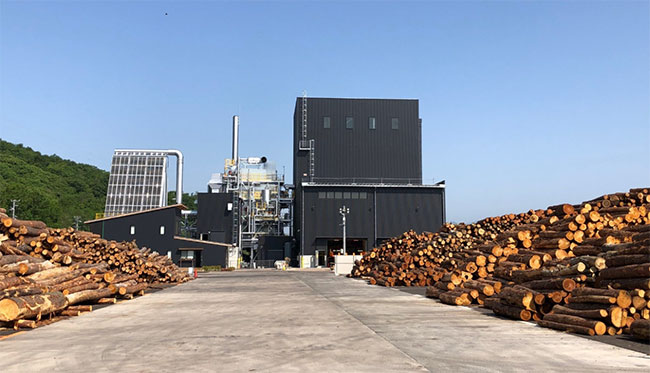 木質バイオマススポーツ ベット カジノ所