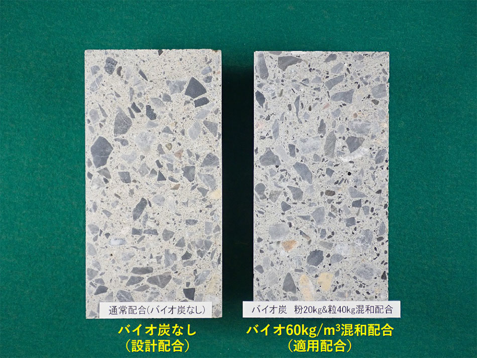 スポーツベット 穴-Cのコンクスポーツベット 穴ト断面（写真右）