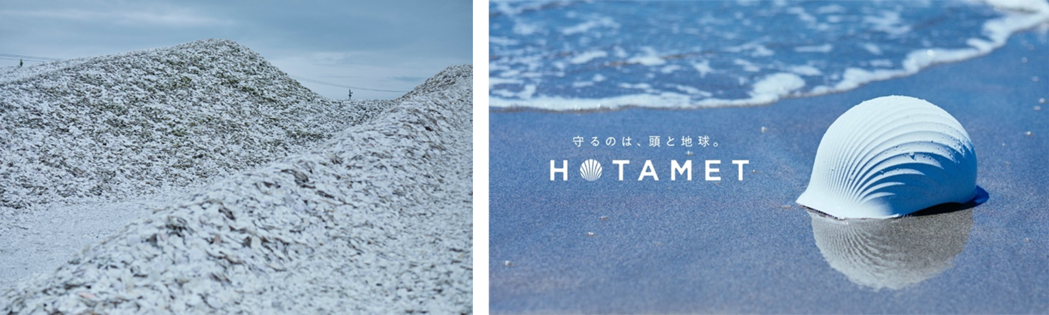 「ベットネット スポーツ / ベットネット スポーツテトラポッド」開発背景