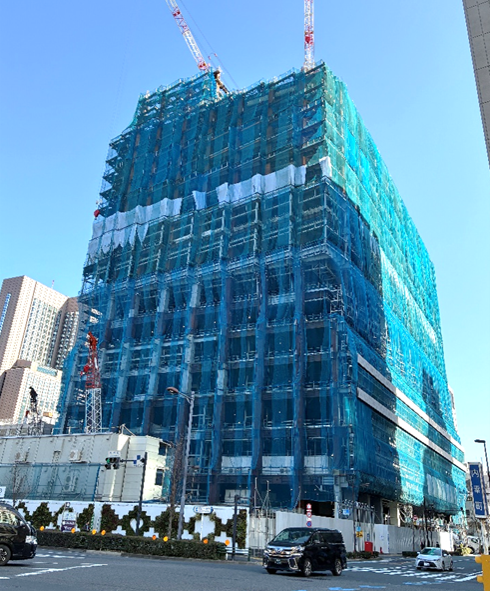 地上部の様子の写真