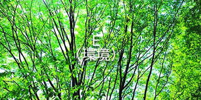 公正で透明な事業活動