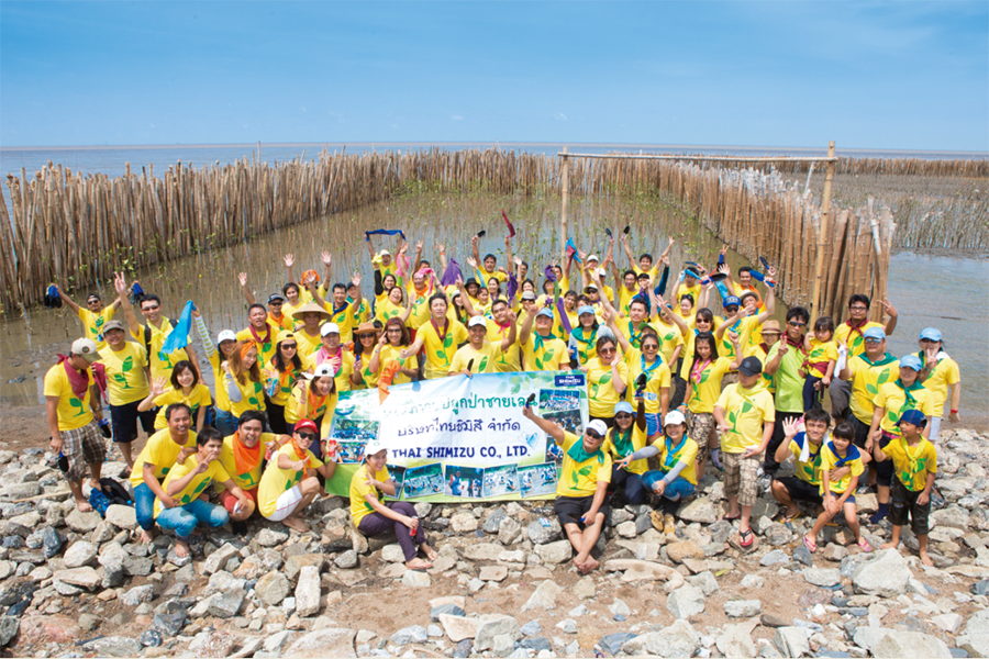マングローブ林の植樹オンライン スポーツ ベット