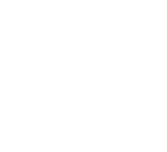 Case 13