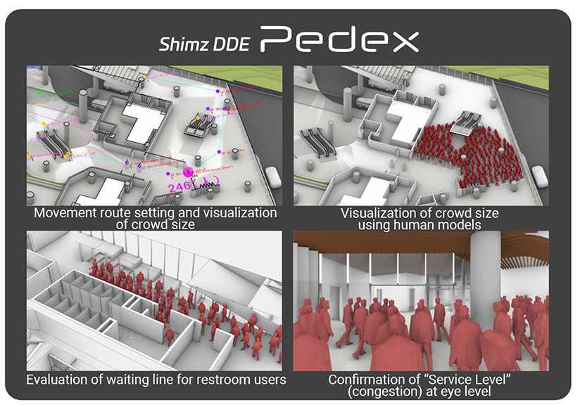 Pedestrian flow analysis
