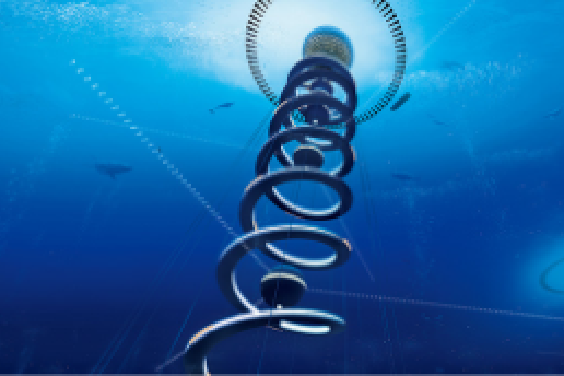 ネット ベット スポーツ Dream