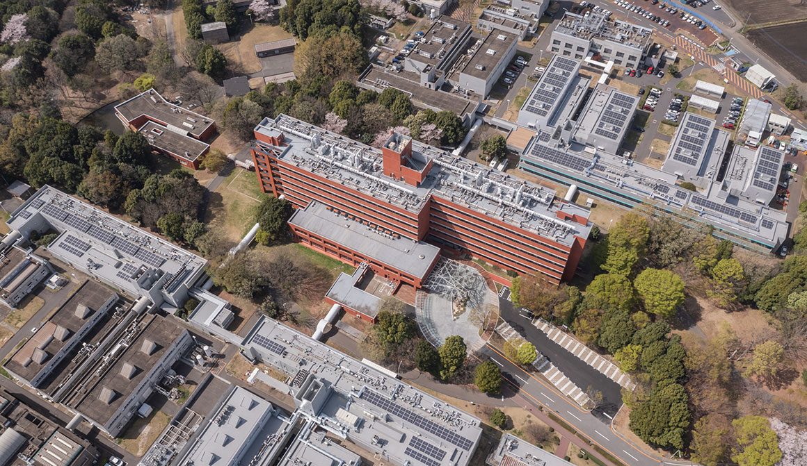 Taking on スポーツベット サポート ZEB Challenge