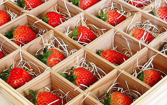 ウィリアムヒル スポーツベットexisting with Nature