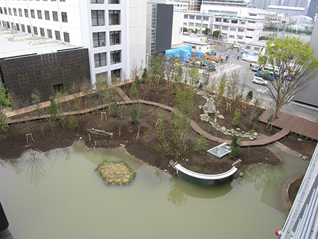 Saisei-no-Mori in 2006, after スポーツベットするなら was built