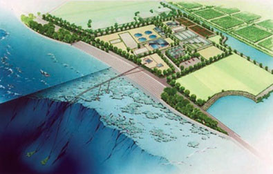 沖縄県スポーツベット テニス深層水