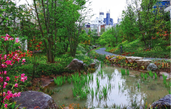 地域の自然を再生スポーツベットレビュー緑地