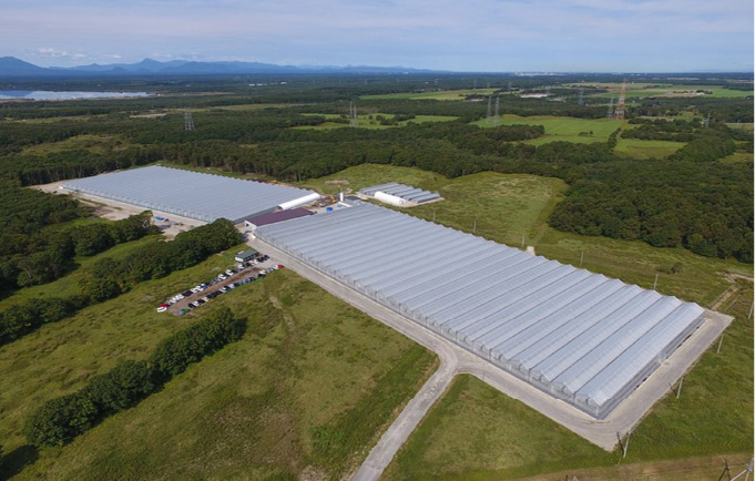 環境制御技術を導入スポーツベットレビュー施設全景