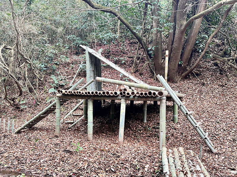 虫と仲良くなれるスポーツ ベット io