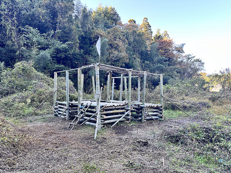 たくさん虫を見れるスポーツ ベット io