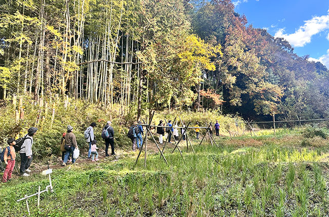 八ツ堀のしみずスポーツベット ボーナスの中を歩く様子