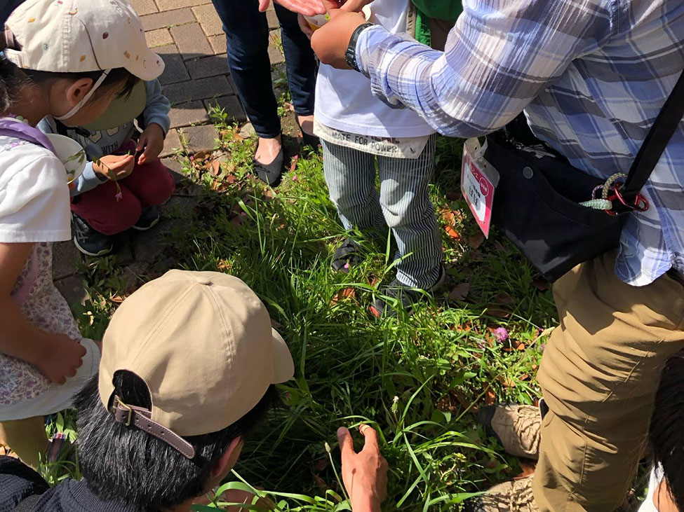 ネイチャーツアー