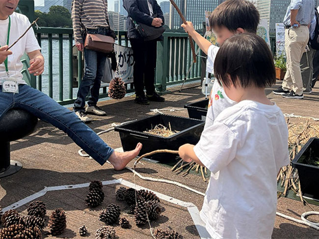 松ぼっくり釣りをする様子