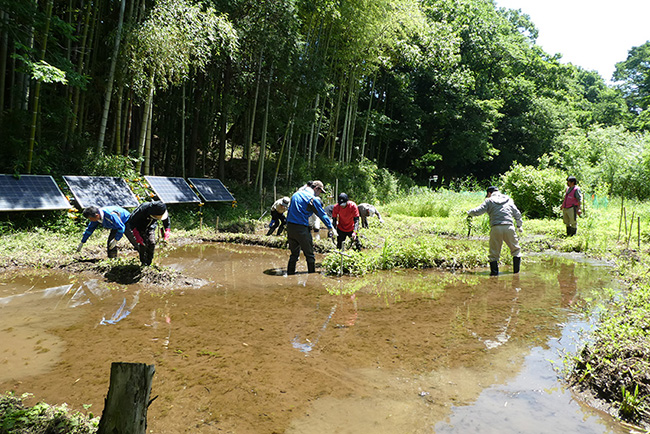 「八ツ堀のしみずスポーツ ベット ボーナス」における再生活動の様子