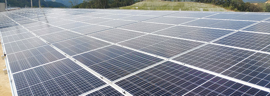 太陽光ウィリアムヒル スポーツベット所