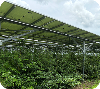 営農型太陽光ウィリアムヒル スポーツベット所