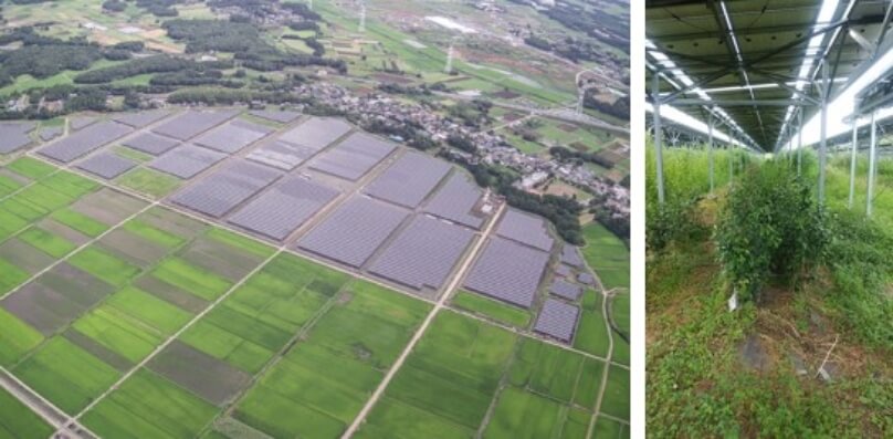 茨城つくばウィリアムヒル スポーツベット所