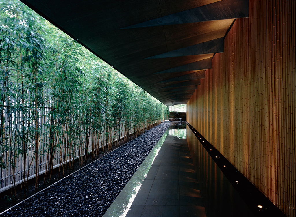 Museum wall covered with スポーツ ベット ボーナス. The combination with the moso スポーツ ベット ボーナス planted on the opposite side creates a harmonious atmosphere. (© Mitsumasa Fujitsuka)