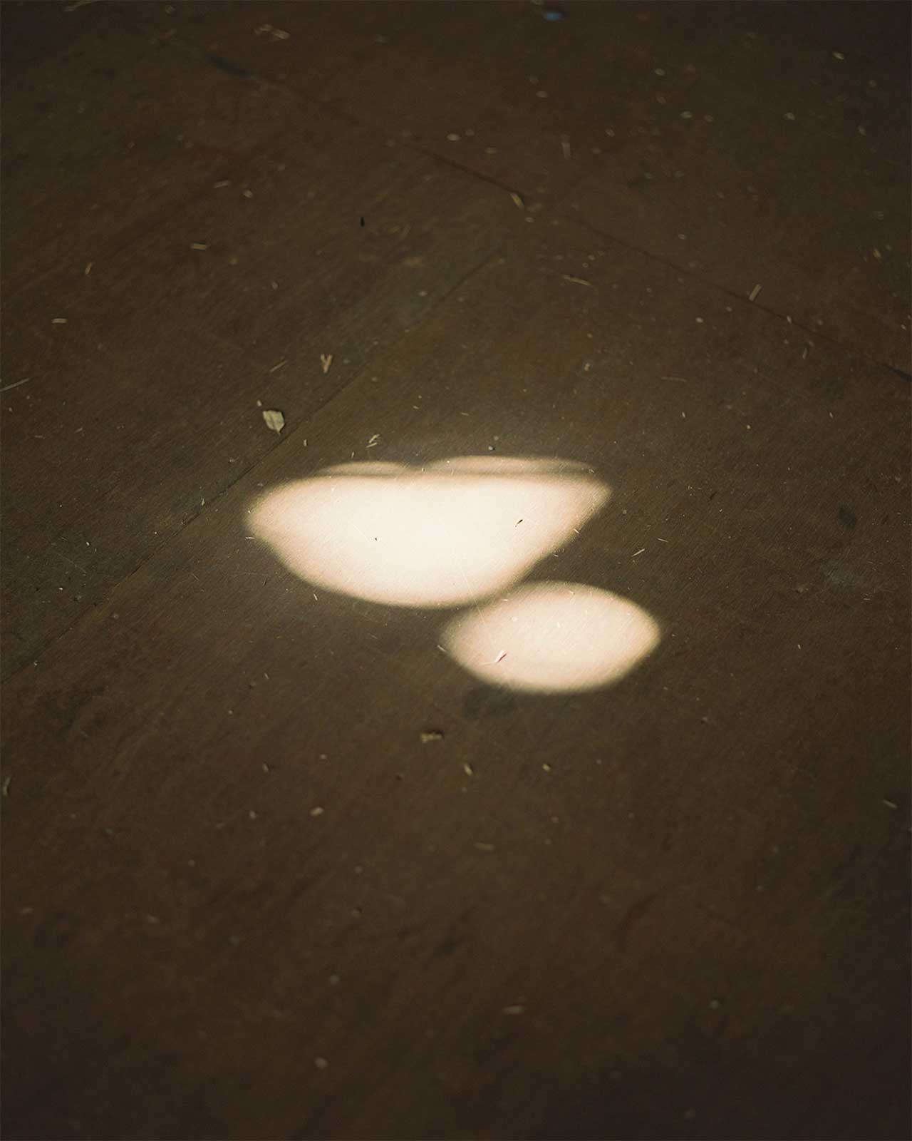 スポーツベット株式会社 東京木工場 木工場ギャラリー17 Photo