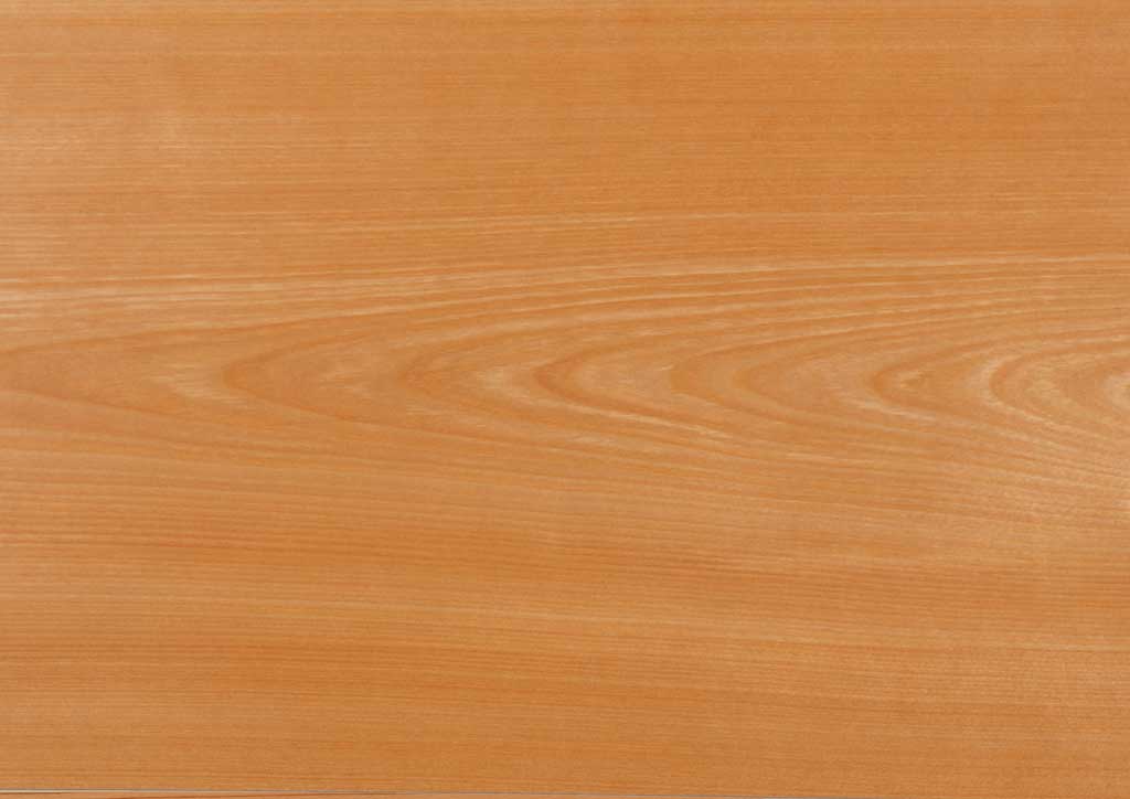 山桜（ヤマザクラ）