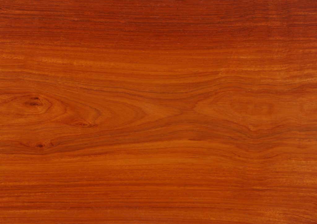 花梨（カリン）