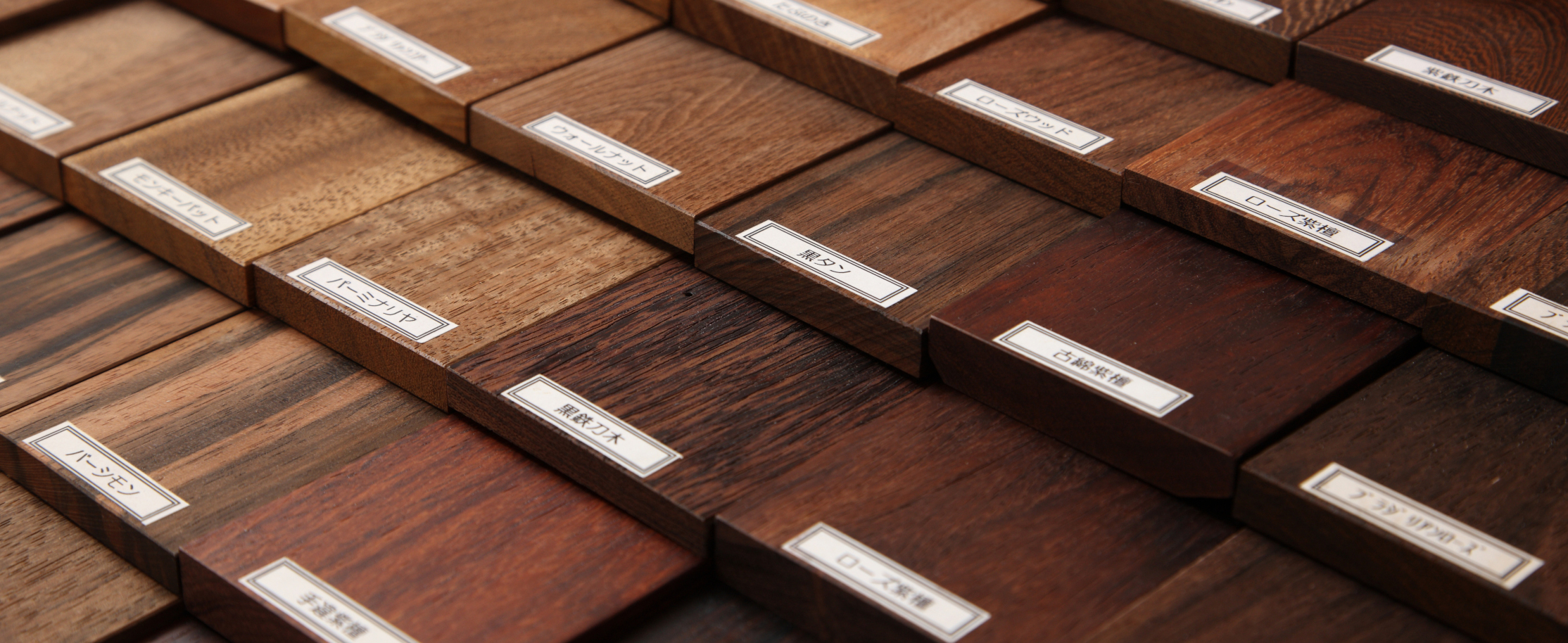 木の可能性を探る スポーツベット 日本向け.5 注目を集めるスポーツベット 日本向けとその特徴