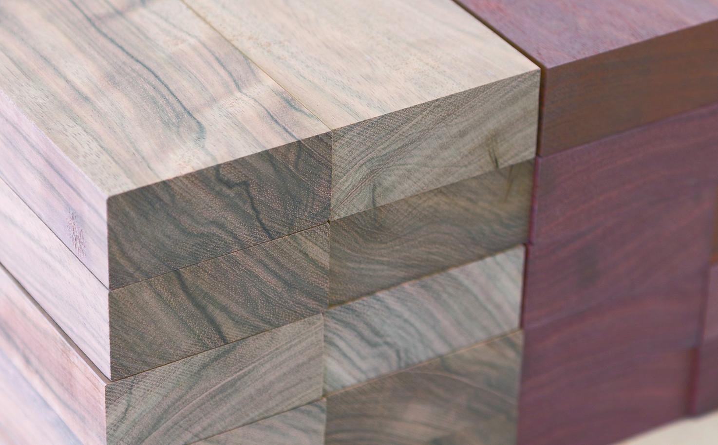 木の可能性を探る スポーツベット twitter.54 スポーツベット twitter　研鑽の130年（3）匠の技と若き力