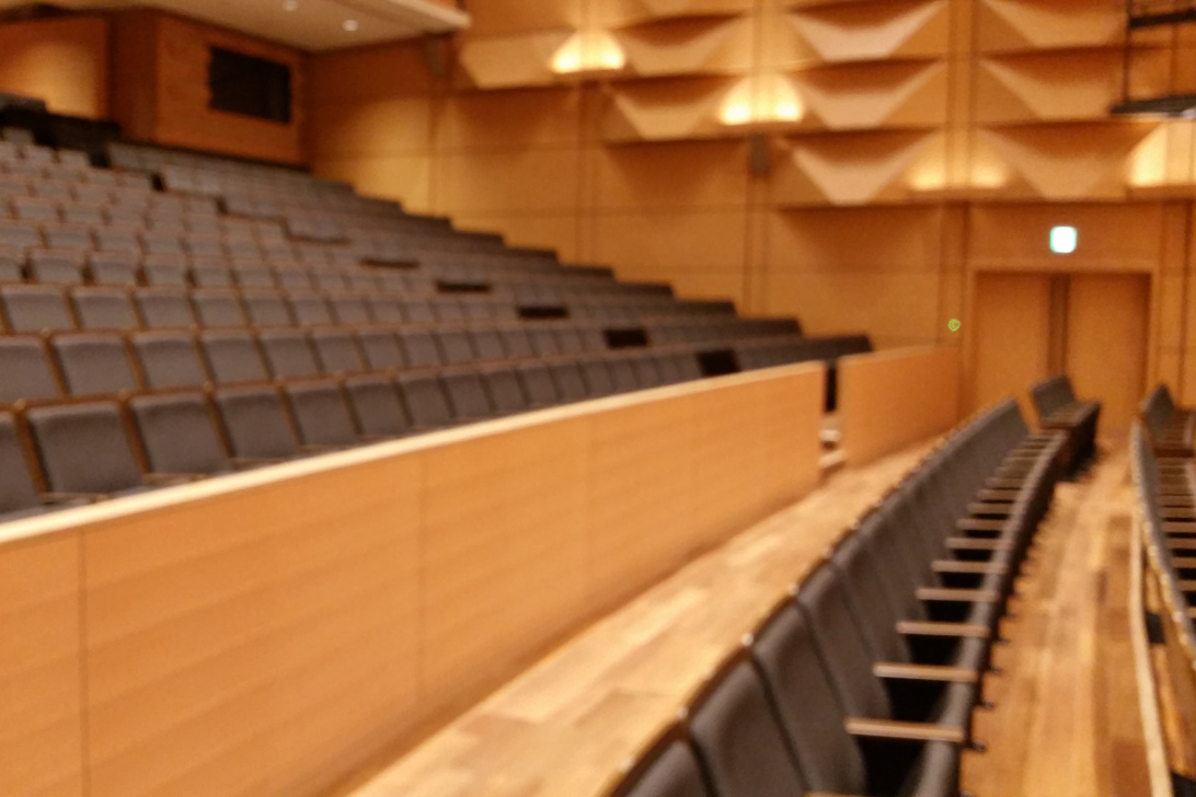 腰壁のランダムリブ板が豊かな音響を生み出し、演劇から演奏会までさまざまな演目に対応しています