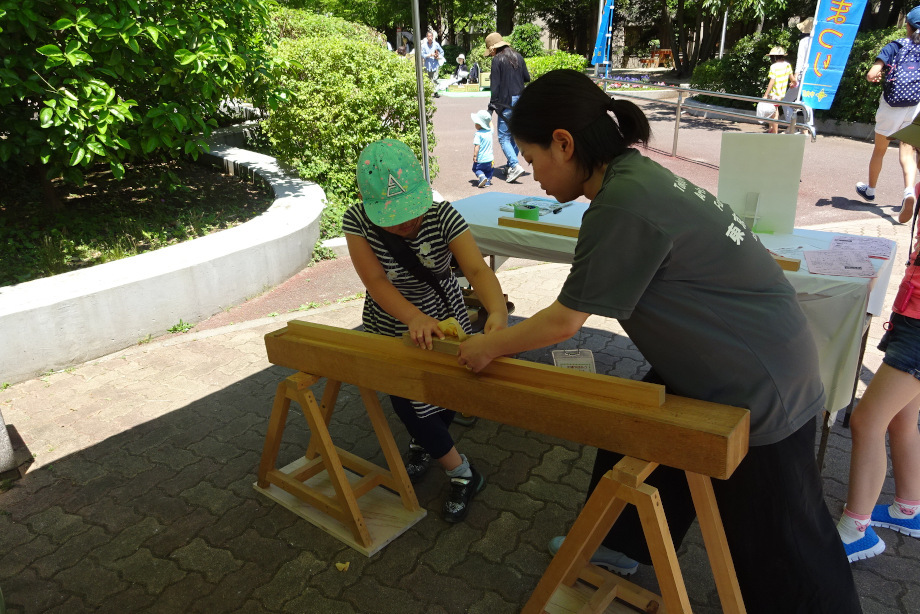 最近のスポーツ ベット io活動