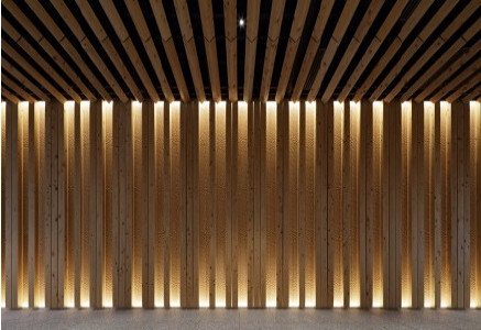 木の可能性を探る ベットネット スポーツ.67 木づかいを考える