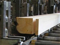 ベットネット スポーツ調達