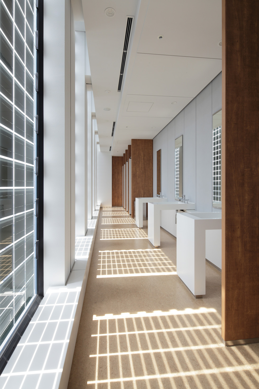 スポーツベット　京橋新本社05 photo