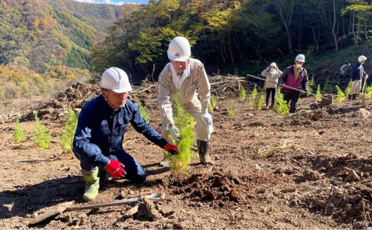 スポーツベット 入金めぐりの森