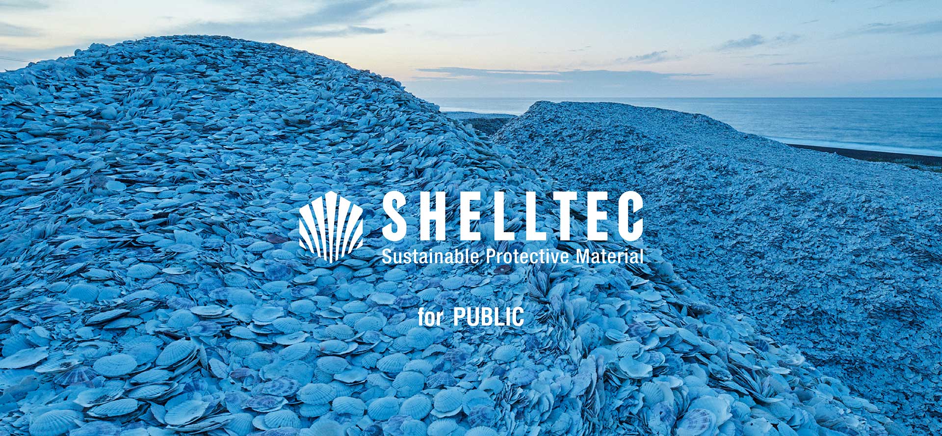 スポーツベット 掲示板