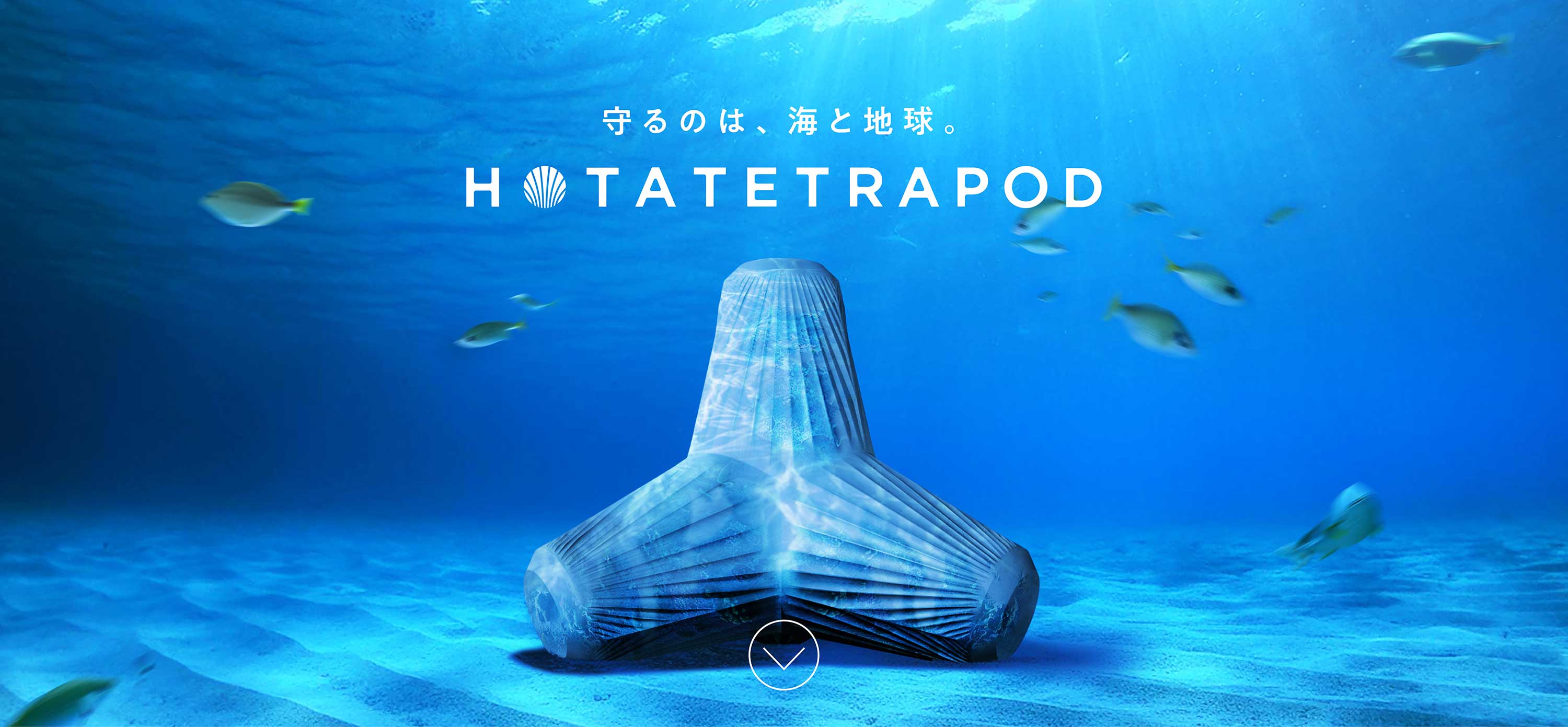 HOTATETRAPOD