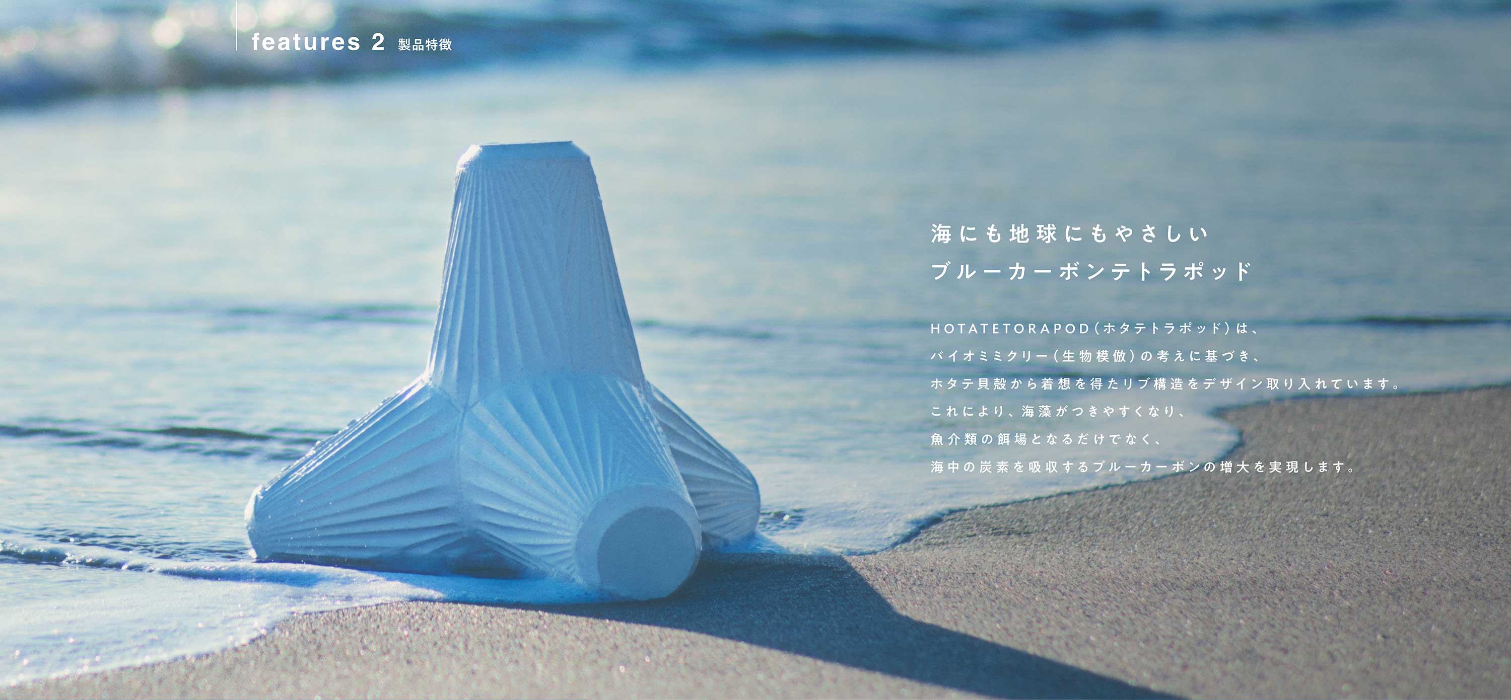 海にも地球にもやさしいブルーカーボンテトラポッド