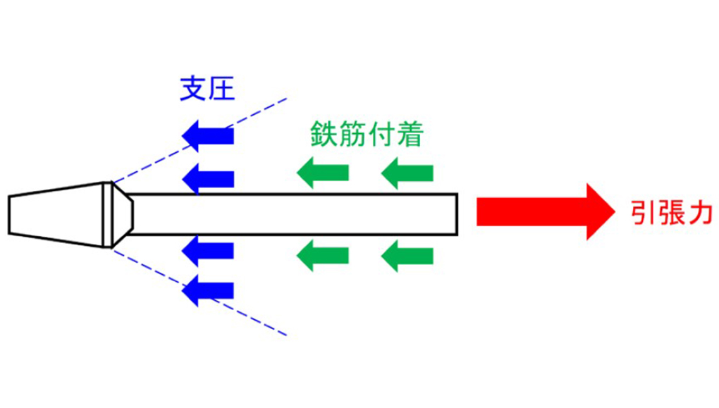 スポーツ ベット new鉄筋の定着原理
