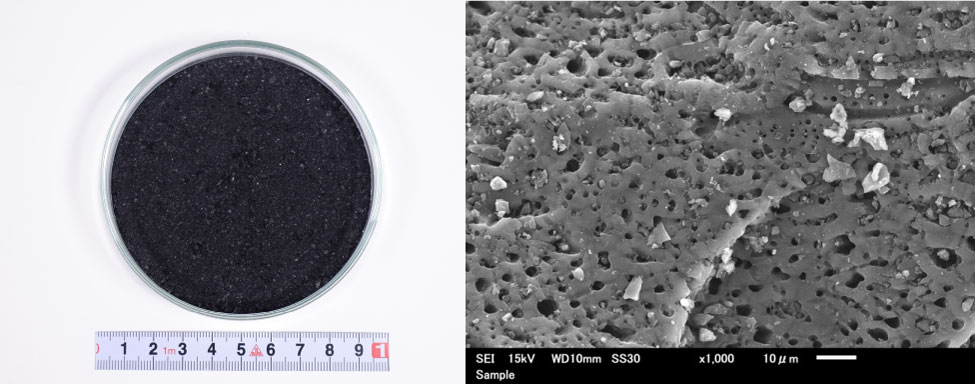 粉状のバイオ炭（左）と粒子構造が多孔質であることがわかる内部組織の一例（右）