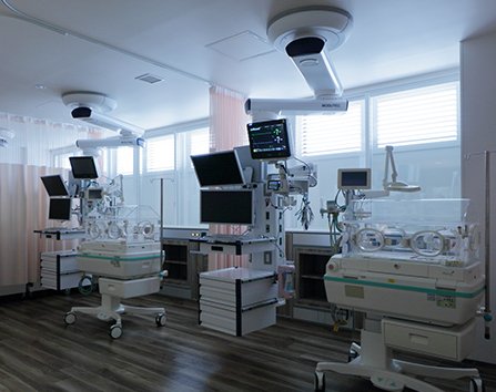 自然光によって、１日のリズムが感じられる。朝7時