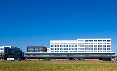 スポーツ ベット 入金 不要 ボーナスづくり