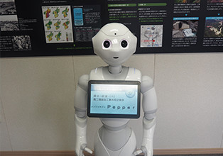 「なるほど！やんば資料館」のコンシェルジュ、Pepper