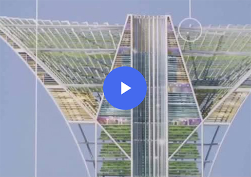 イメージ動画：スポーツベット ボクシング 日本アイランド GREEN FLOATについて