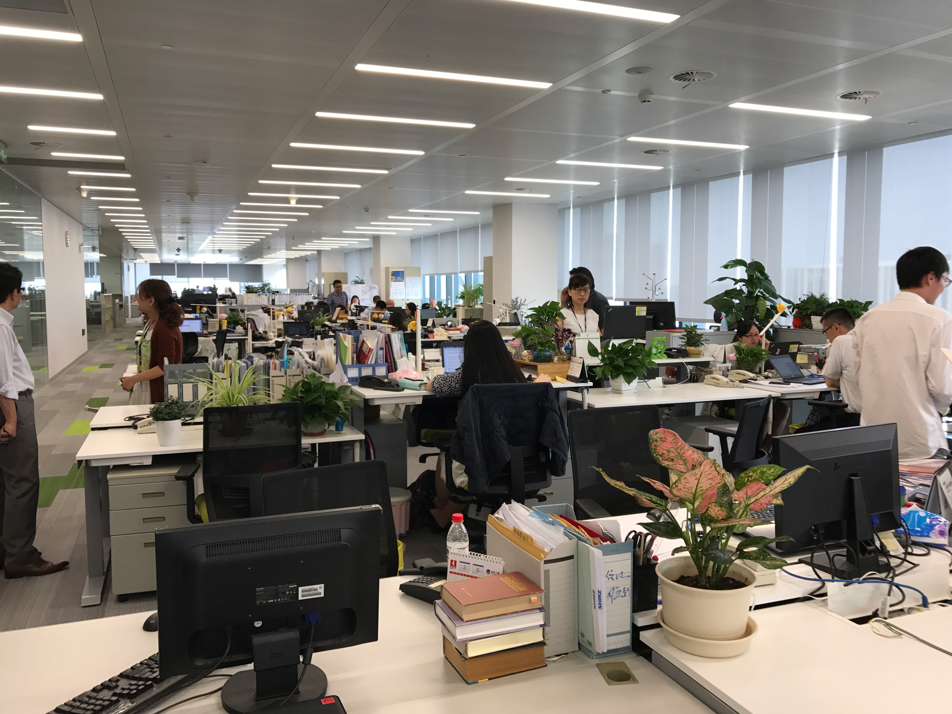 ブック メーカー スポーツ ベットとウェルネスで挑む ―清水中国社 上海オフィス