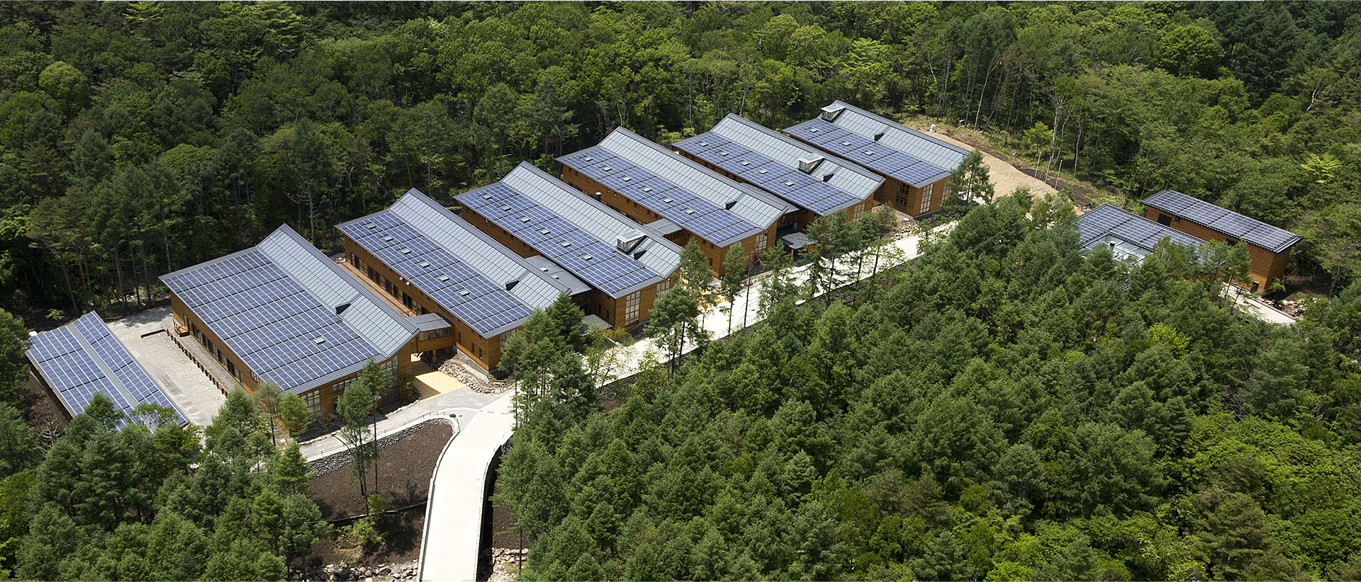 スポーツベット テニスで変える日本の未来