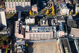 Juntendo University Nerima Hospital スポーツベット 野球 No.3