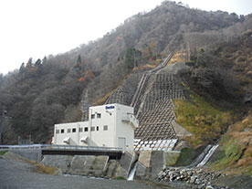 Denka Shin-Omigawa Power Plant